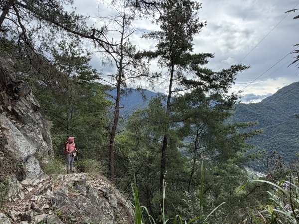 東卯山 22刷 202607253090894