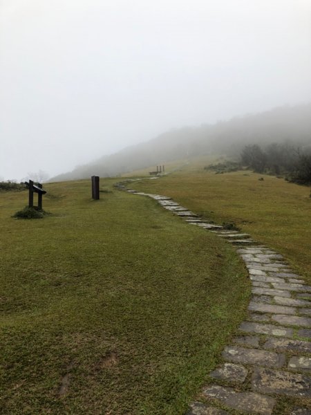 臺北大縱走-頂山石梯嶺982699