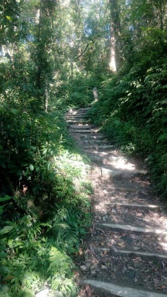 聖母登山步道O型走332324