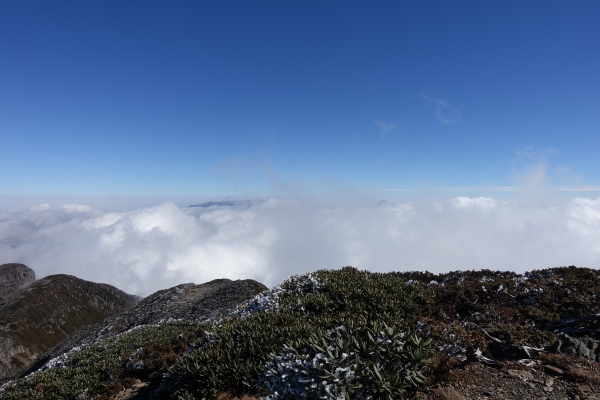 1051216~19雪山主東北下翠池80538