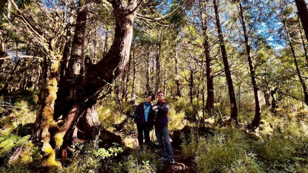 🌈11/29(六)-30(日)空靈系秘境~太平山-三星山(小百岳)⛰️+三星池~🌈2952253