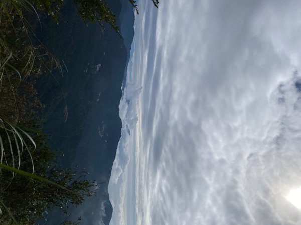 1131215大塔山步道2669093