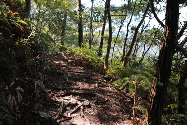 谷關七雄：新山馬崙山178249