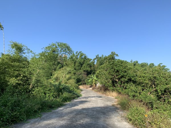 20251115台南南庄山2938060