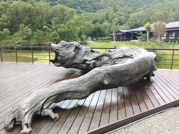 雙溪區大埤古道左線+柑腳山+570峰+大埤格+大埤古道右線O型