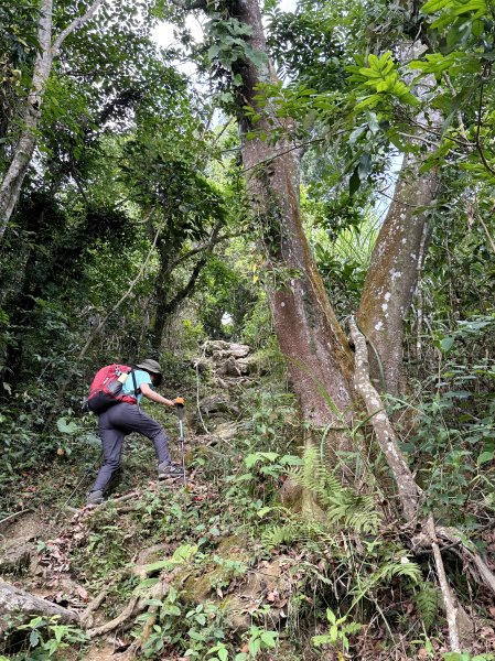 烏山縱走半程 (雲山寺~刣牛湖山) 來回 202504272773728