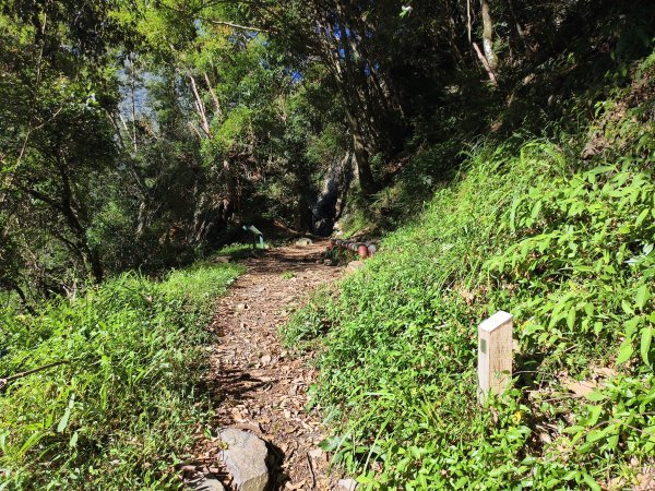 [玉山尋寶任務-07/12] 2025_0824 八通關雲龍瀑布步道2870638