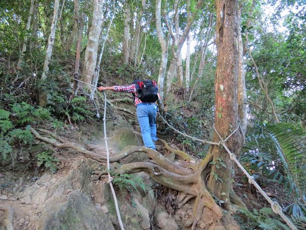 關西赤柯山.赤柯山南峰 .東獅頭山Ｏ型192248