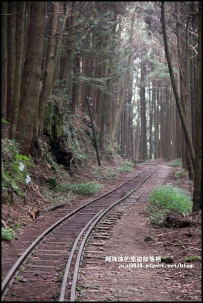 消失的阿里山眠月線802019