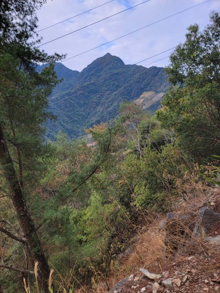 2026-0201-東卯山3013015