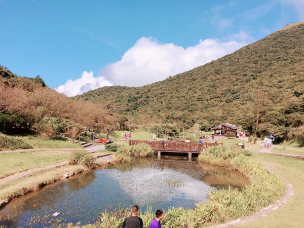 大屯山群峰步道738035
