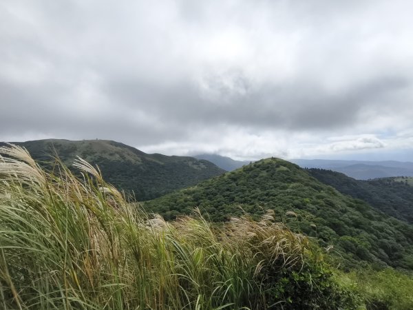 [百山百鳥尋旅-11/15] 2025_0927 大屯主峰-連峰步道_大屯山西峰2899468