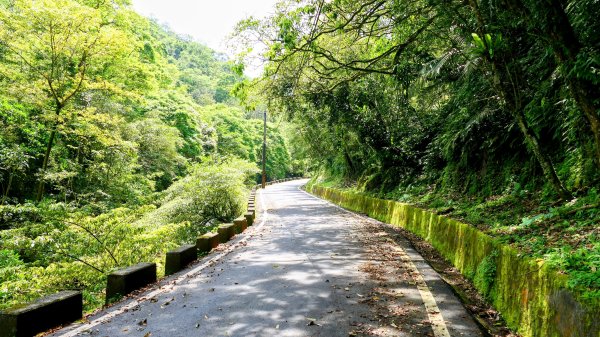 畝畝山。又上說2768133