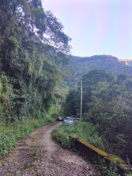 多納六秀 京大山2957570