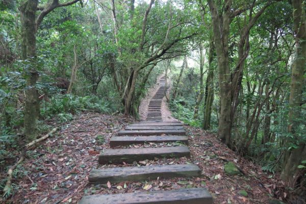 姜子寮山步道225068