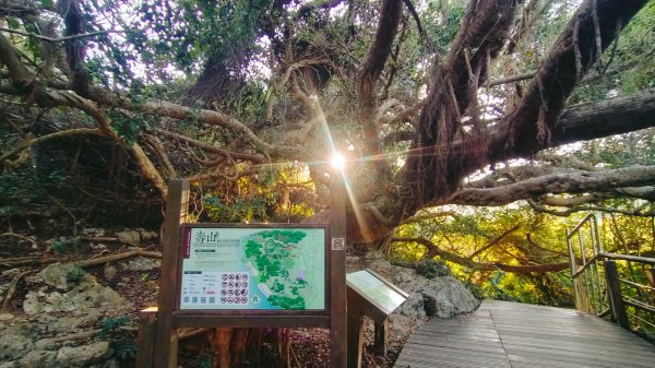 柴山夜爬看夕陽2993414