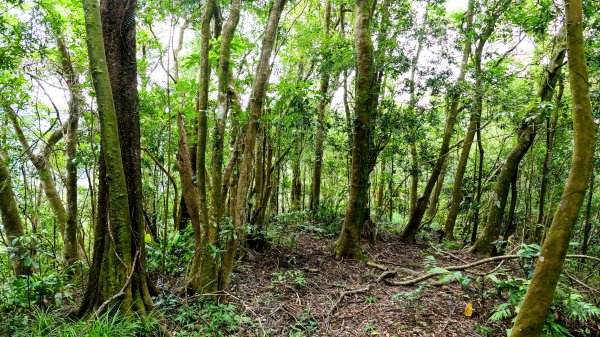 石古井,青林山,畝畝山,平溪子山2854693