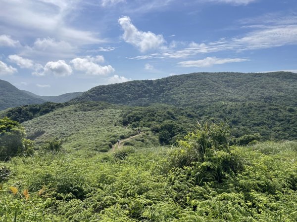 淡基橫斷古道(擎天崗-大武崙)2509359