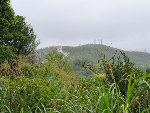 樹林山，大同山，青龍嶺，三角埔頂山，武器公園，土城明德山，四十張山，中和饅頭山，士林雙溪公園1652650