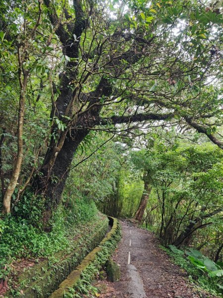 絹絲瀑布步道 - 走遍陽明山尋寶任務2268814