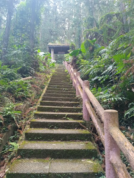 鳴鳳山古道2983683