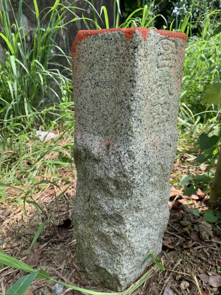 20250906台南口埤山(口碑山)2881396