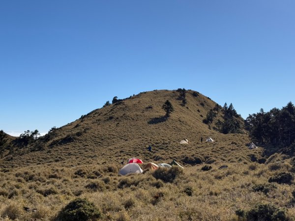 20250104-05 向陽縱走魔保來溪頭山出關山嶺山2683520