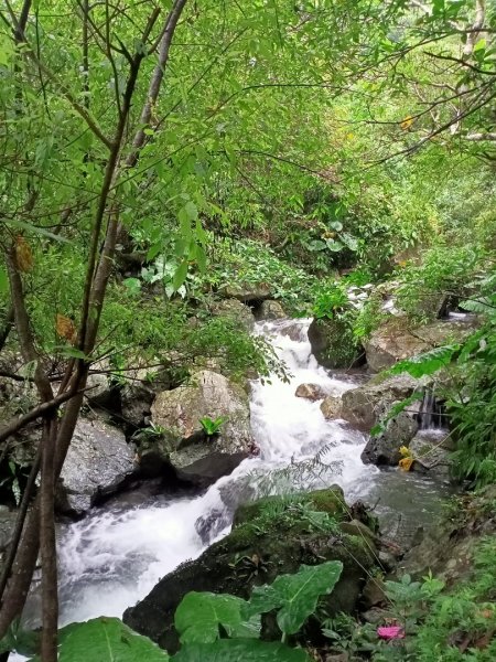 【宜蘭－臺灣百大必訪步道】聖母登山步道1148073