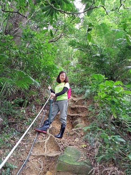 【臺北大縱走 5】劍潭山→圓明寺步道口+圓山水神社、婆婆橋步道1560391