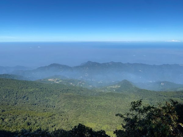 苗栗_大坪出發~杜鵑嶺/加里山1485801