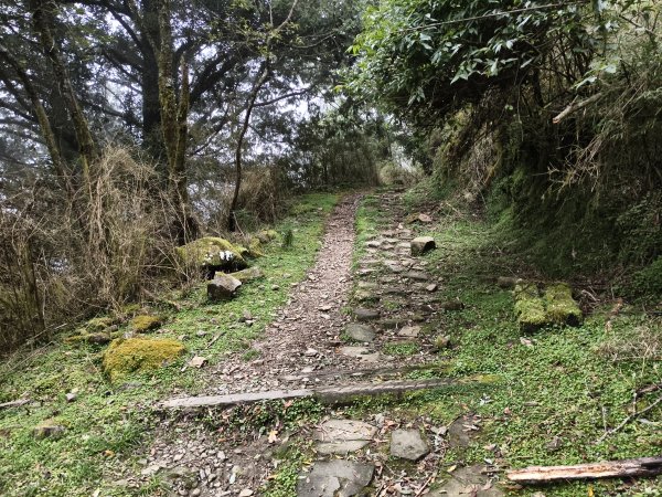 [玉山尋寶任務-08/12] 2025_0824 鹿林山步道_鹿林山2870809