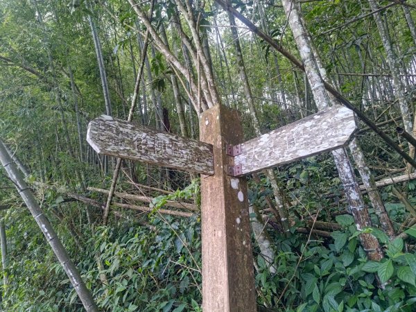 華山4-2號步道上雲嘉連峰2579335