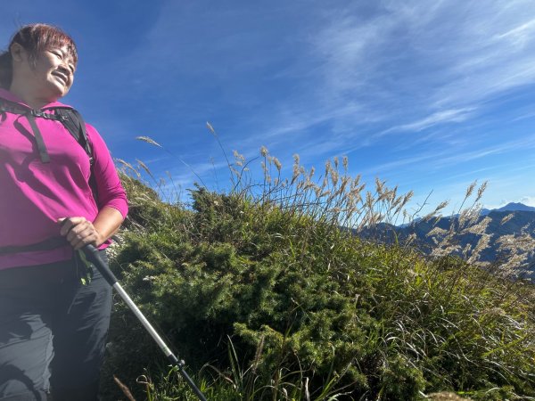 合歡山北峰2908741