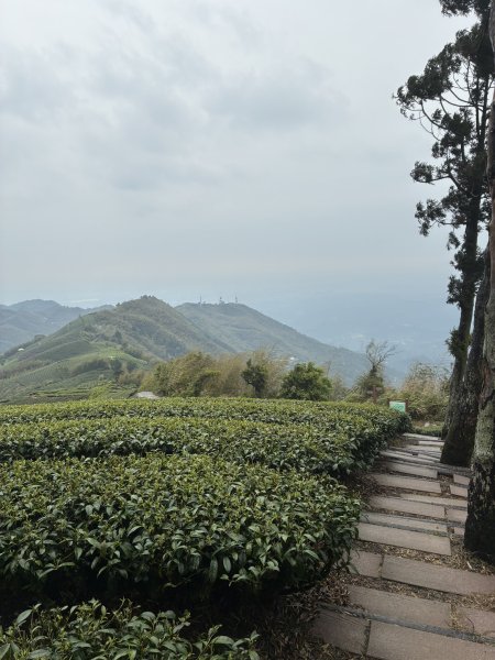 20260406[公車]雲嘉連峰-二尖山+馬鞍山+梨子腳山+太平山+太平山西峰3031089