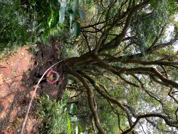 台北大縱走第二段1635005