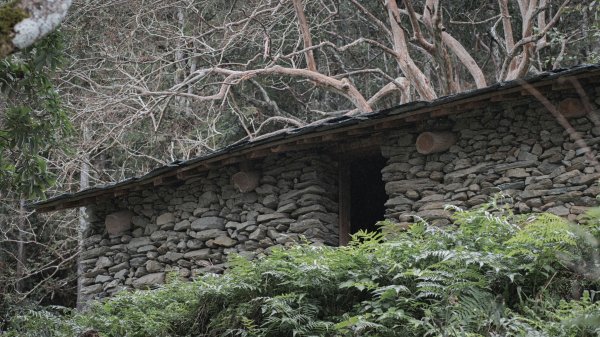 瓦拉米步道-佳心營地住一晚2708475