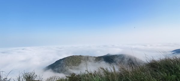 #大屯山 #雲海 3/223019605