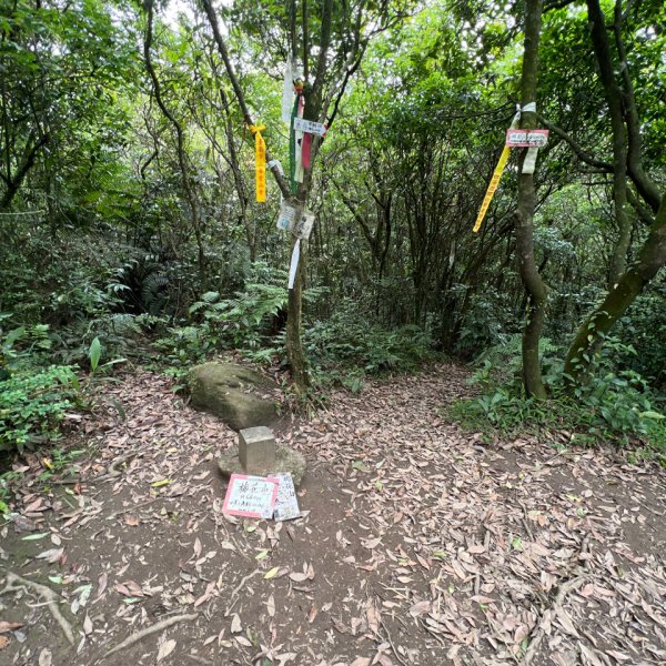 臺北大縱走第四段：風櫃口到大湖公園捷運站2155432