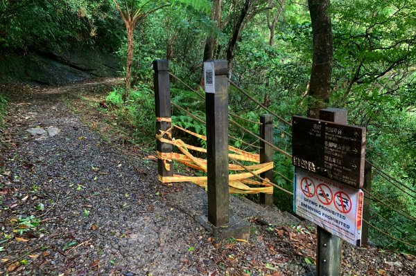 新北平溪｜嶺腳寮登山步道｜拜訪孤獨車站．親近仙氣滿載的望古瀑布1574419