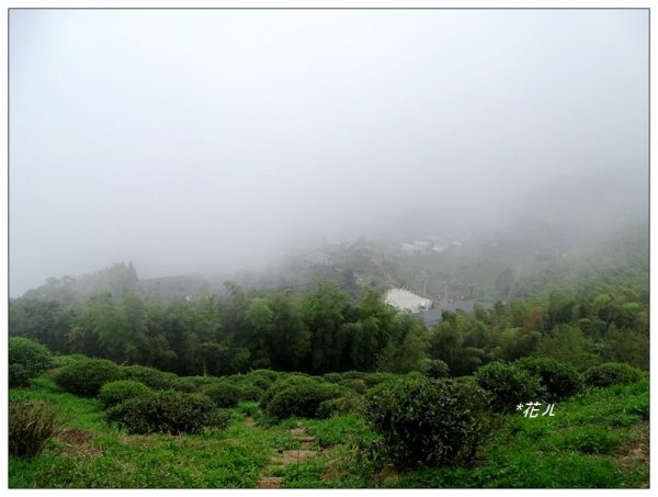 古坑/雲嘉大尖山720601