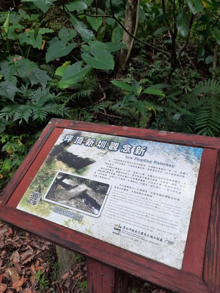 20230722 頂山石梯嶺縱走坪頂古圳，聖人瀑布2227216