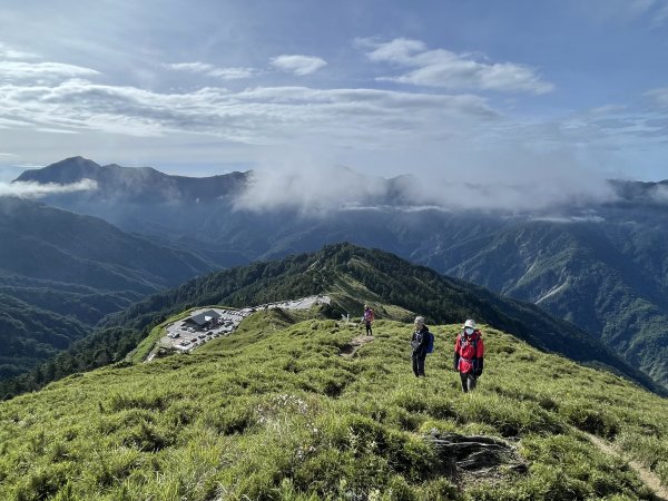 合歡南峰連走合歡主峰 優閒賞花 2022 07 171767778