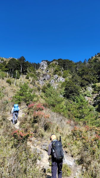 玉山前峰2402064