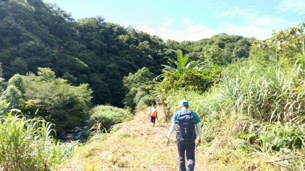 雙溪區竹子山-南勢坑山去回3077207