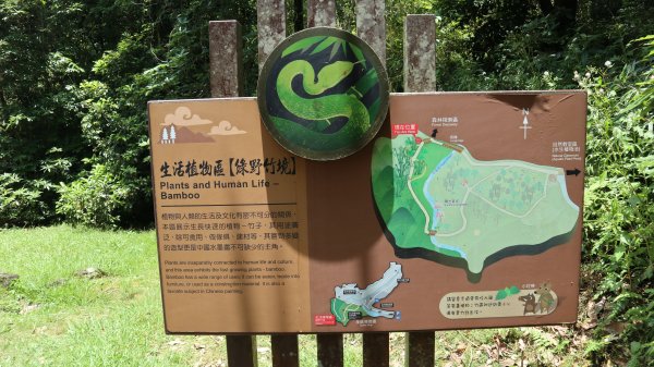 福山植物園登山健行趣(步道)2269395