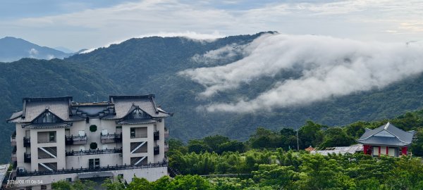 #雲瀑 #藍腹鷴 8/113101503