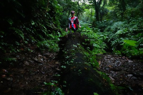 淡蘭古道中路O型988528