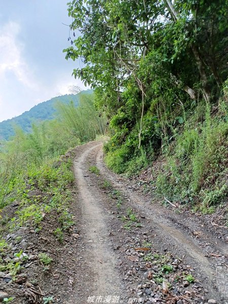 【高雄甲仙】沒有朵朵白雲。 小百岳集起來。 編號69小百岳-白雲山步道1713215