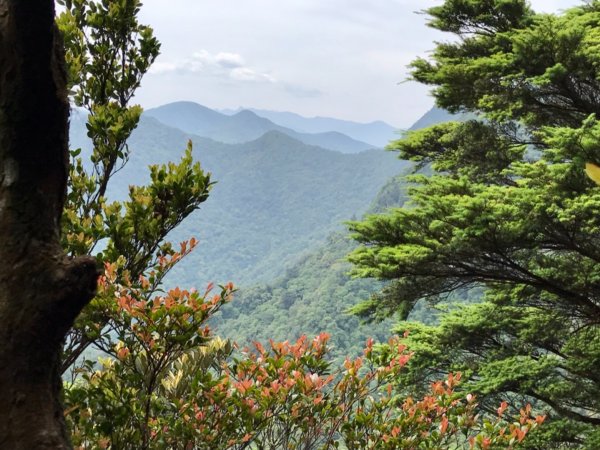 嘎色鬧走那結山1370991