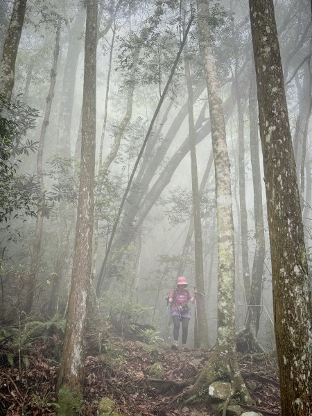 三崠連走O繞-肥崠(長壽)山-大崠山-醜崠山 202605313074268